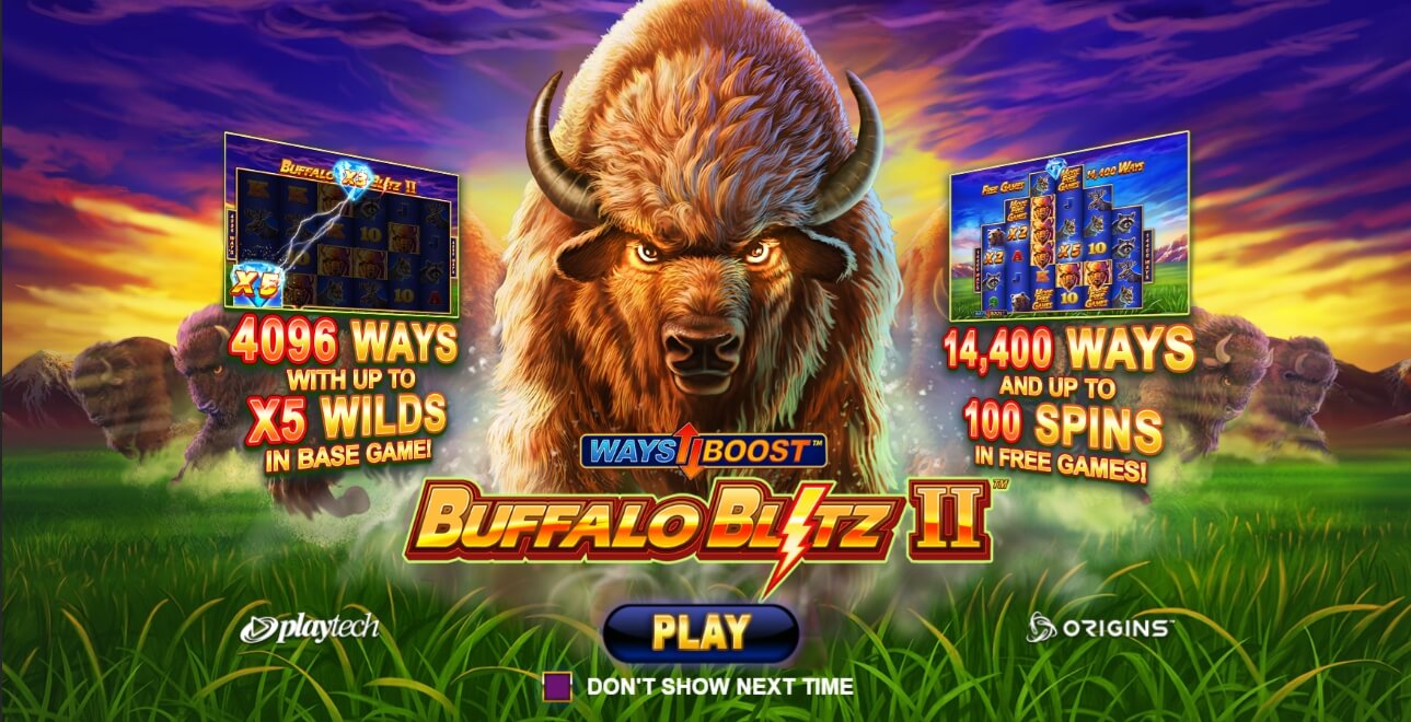 Buffalo Blitz II-Schnittstelle