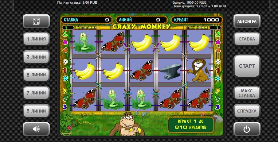 Crazy Monkey - Gewinnen