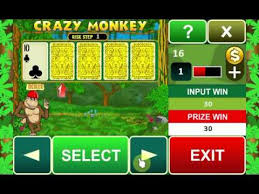 Crazy Monkey Risikorunde
