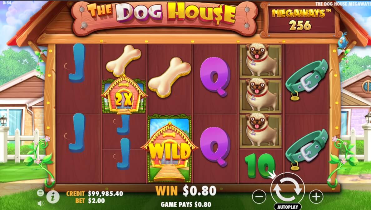 Die Dog House Megaways gewinnen mit Bonus