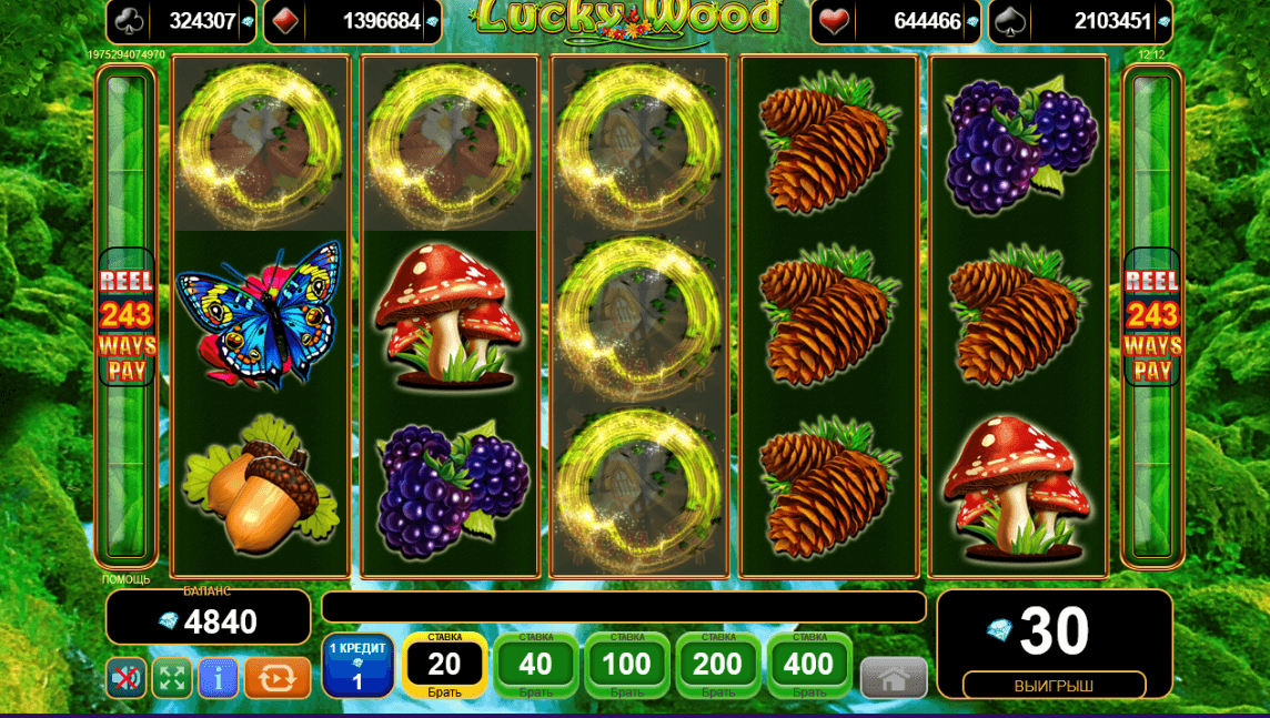 Lucky Wood gewinnt